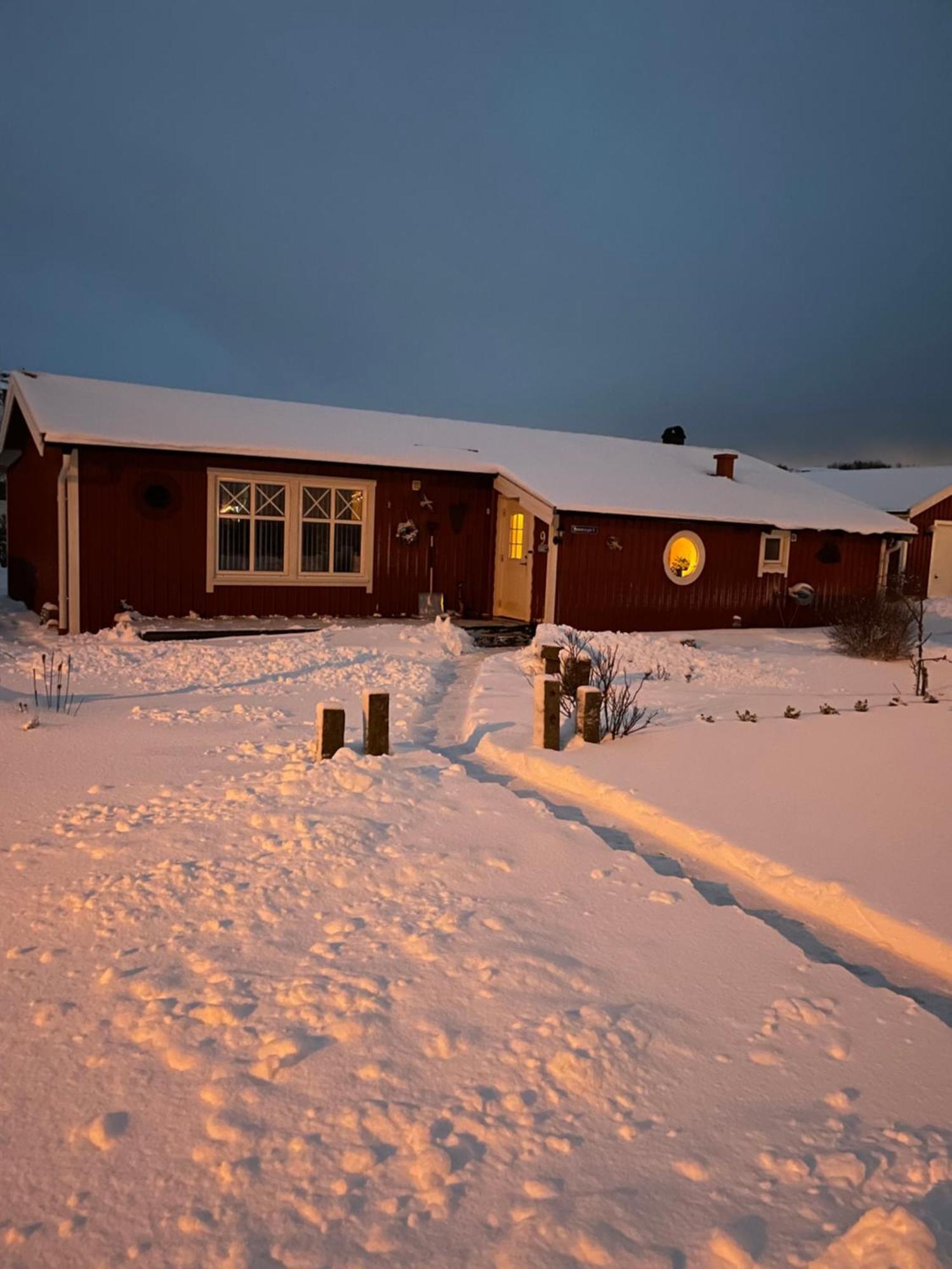 Skoenaste Staellet Som Finns. Bara 300 M Till Havet. Lysekil Bagian luar foto